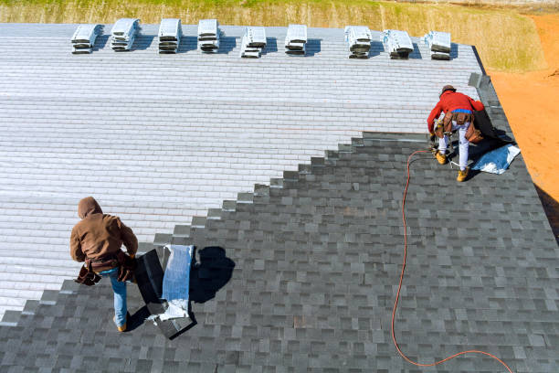 Best Storm Damage Roof Repair  in Shinglehouse, PA